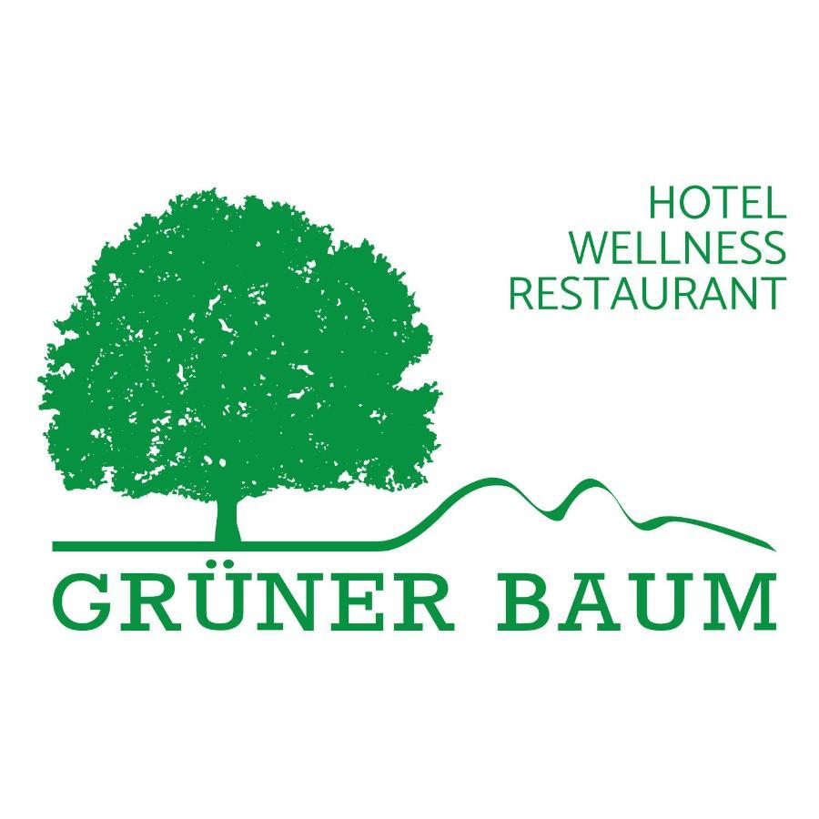 Hotel Gruener Baum Mit Restaurant & Wellness Oberzent Exteriér fotografie