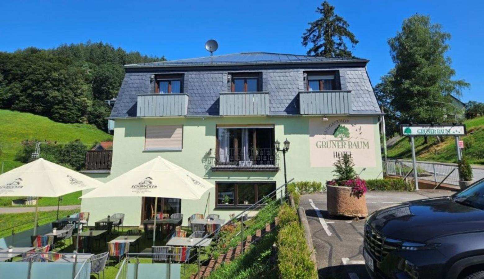 Hotel Gruener Baum Mit Restaurant & Wellness Oberzent Exteriér fotografie