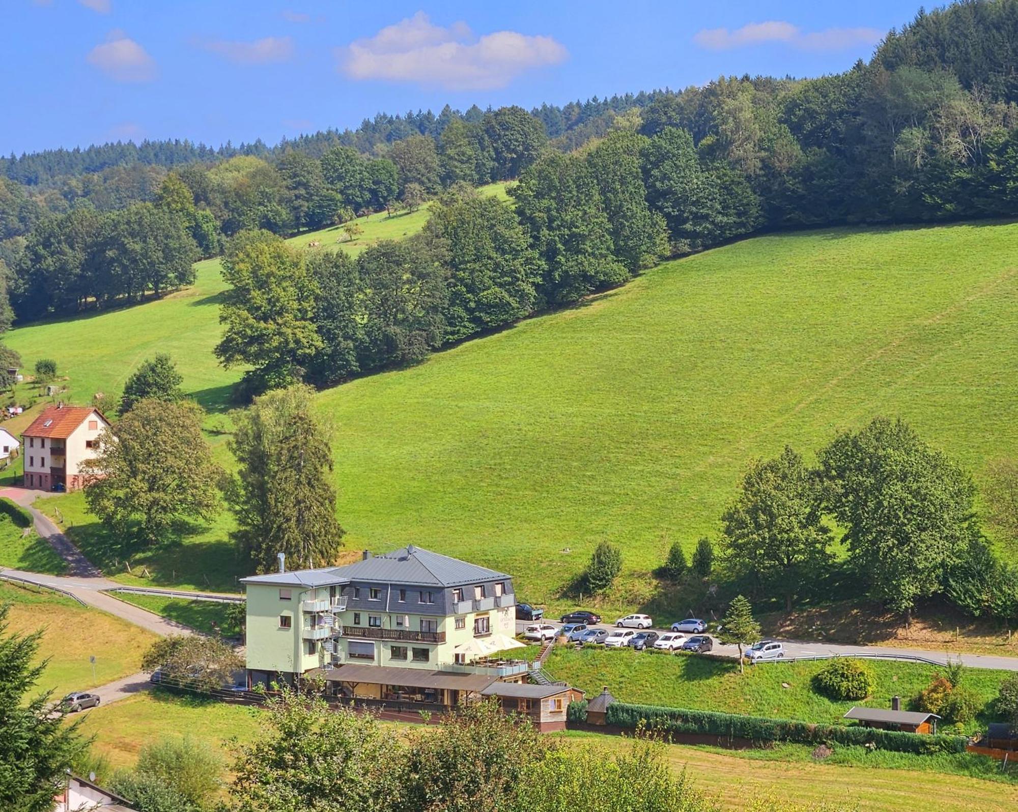 Hotel Gruener Baum Mit Restaurant & Wellness Oberzent Exteriér fotografie