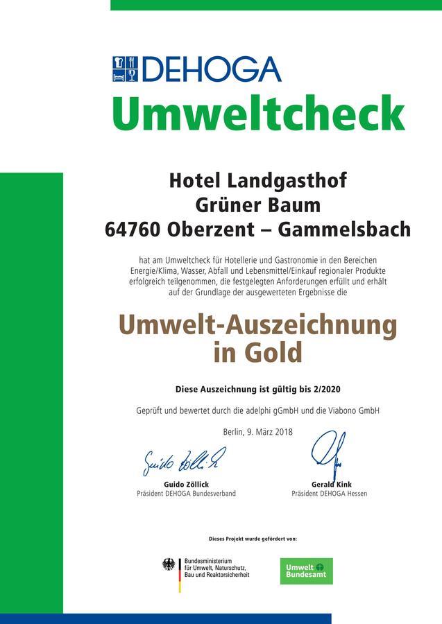 Hotel Gruener Baum Mit Restaurant & Wellness Oberzent Exteriér fotografie